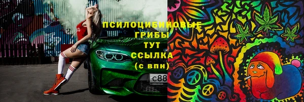 прущий лед Арсеньев