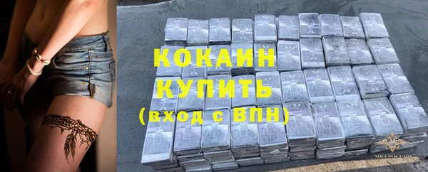 прущий лед Арсеньев